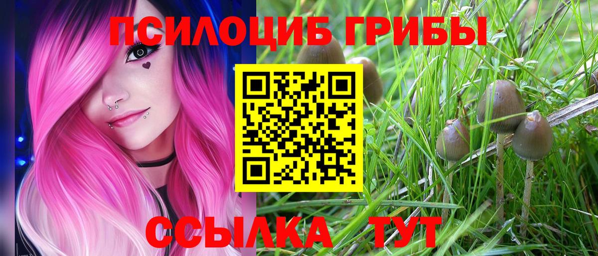 Галлюциногенные грибы MAGIC MUSHROOMS  Псилоцибиновые грибы Psilocybe  где продают   Вход с VPN  Димитровград 